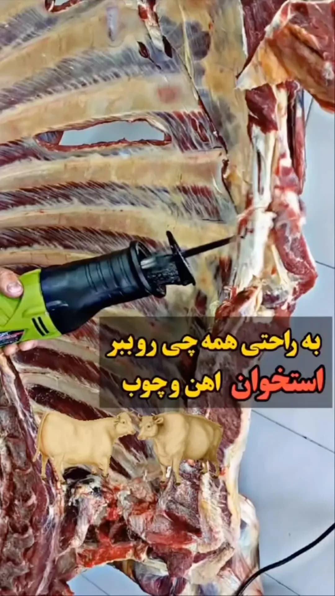 اره افقیبر شارژی و برقی، رنگ سبز و مشکی، جنس پلاستیک و فلز، دستی