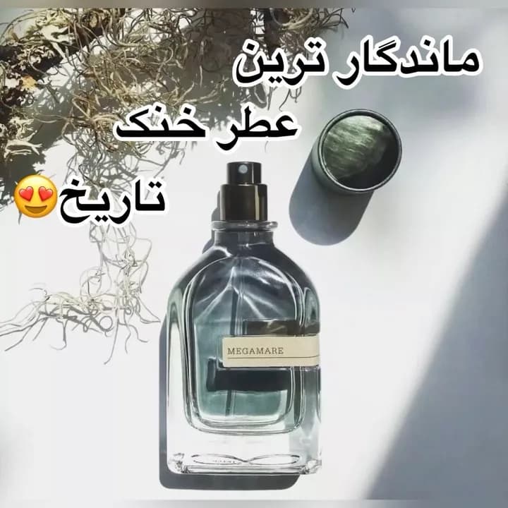 عطر مگاماره اورتو پاریسی، رنگ شفاف و سبز، جنس شیشه، بطری مستطیلی