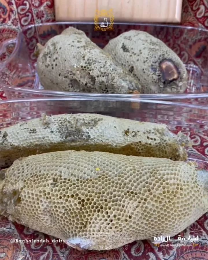 عسل طبیعی زنبور وحشی