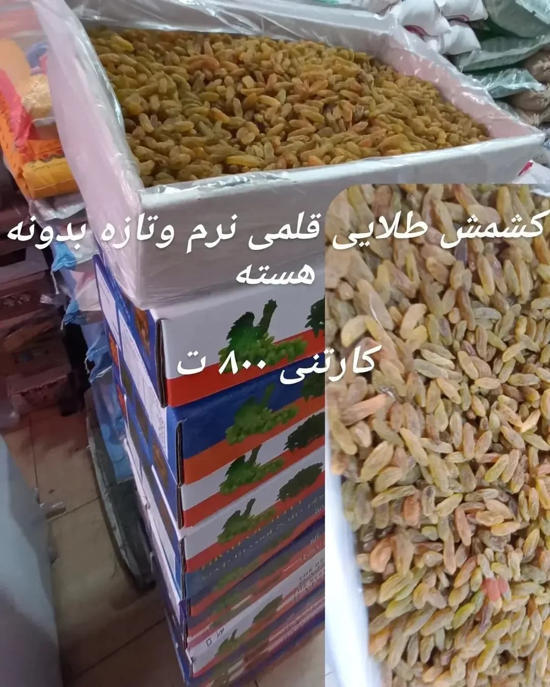 کشمش طلایی قلمی بدون هسته کارتنی