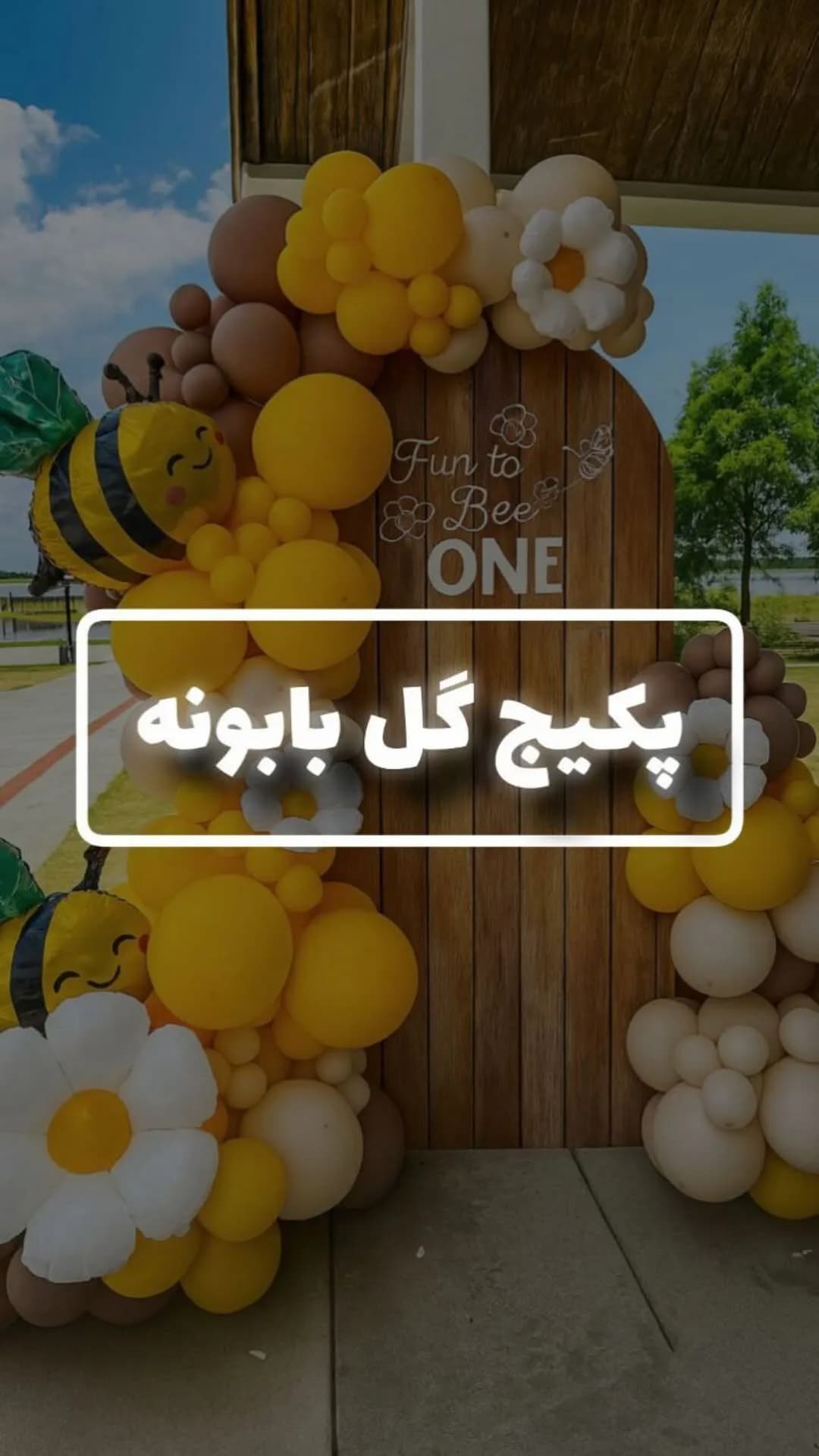 پکیج تولد گل بابونه