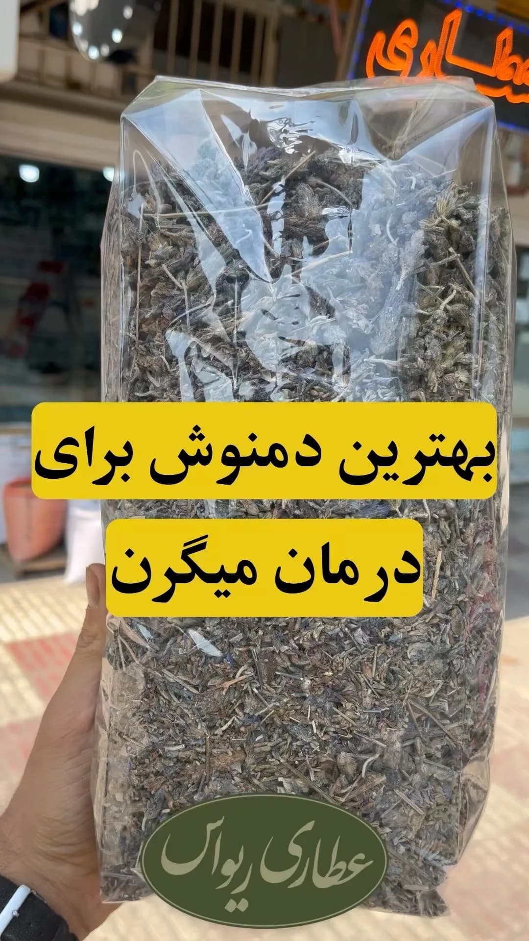 اسطوخودوس