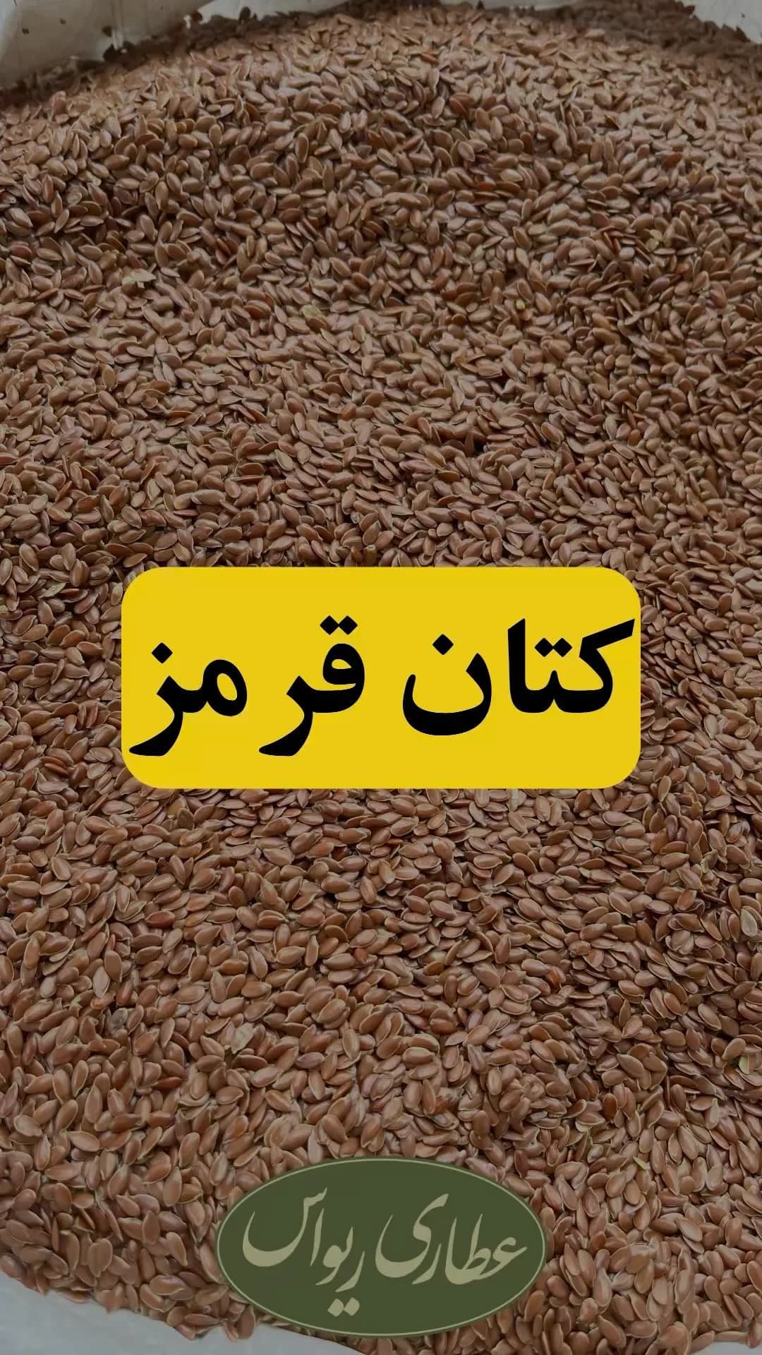 بذر کتان قرمز، رنگ قهوهای مایل به قرمز، دانه