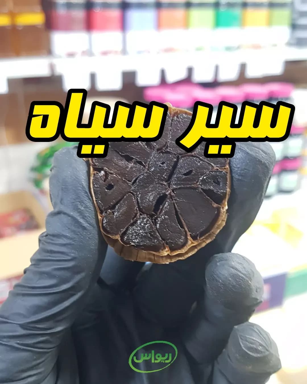 سیر سیاه، حبه سیر
