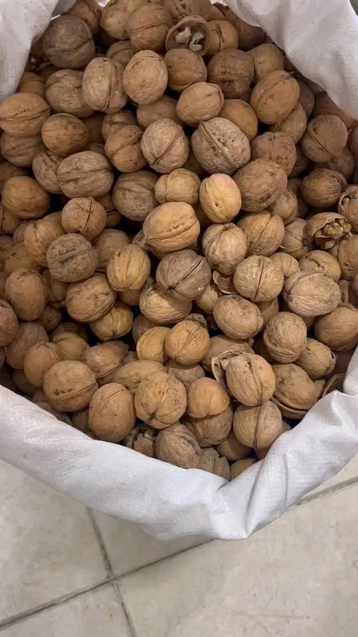 گردو کاغذی امسالی