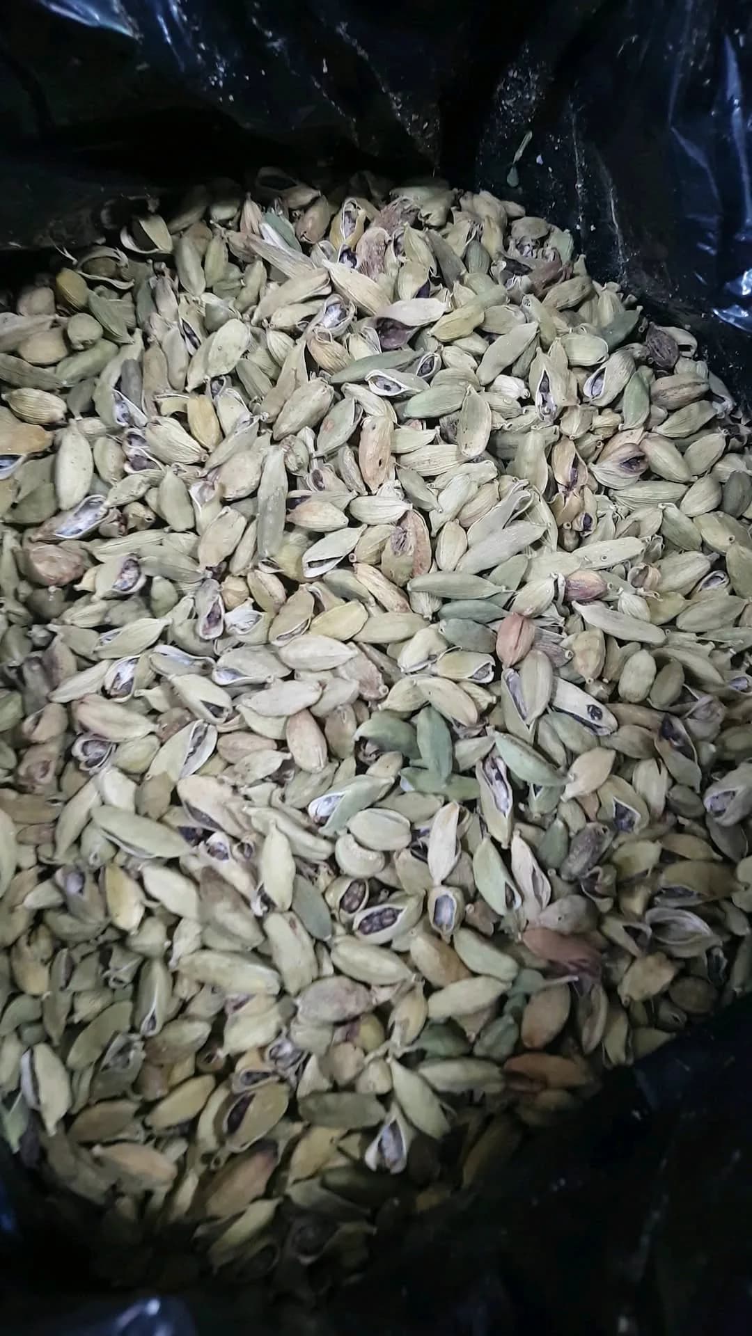 هل شکسته GOP