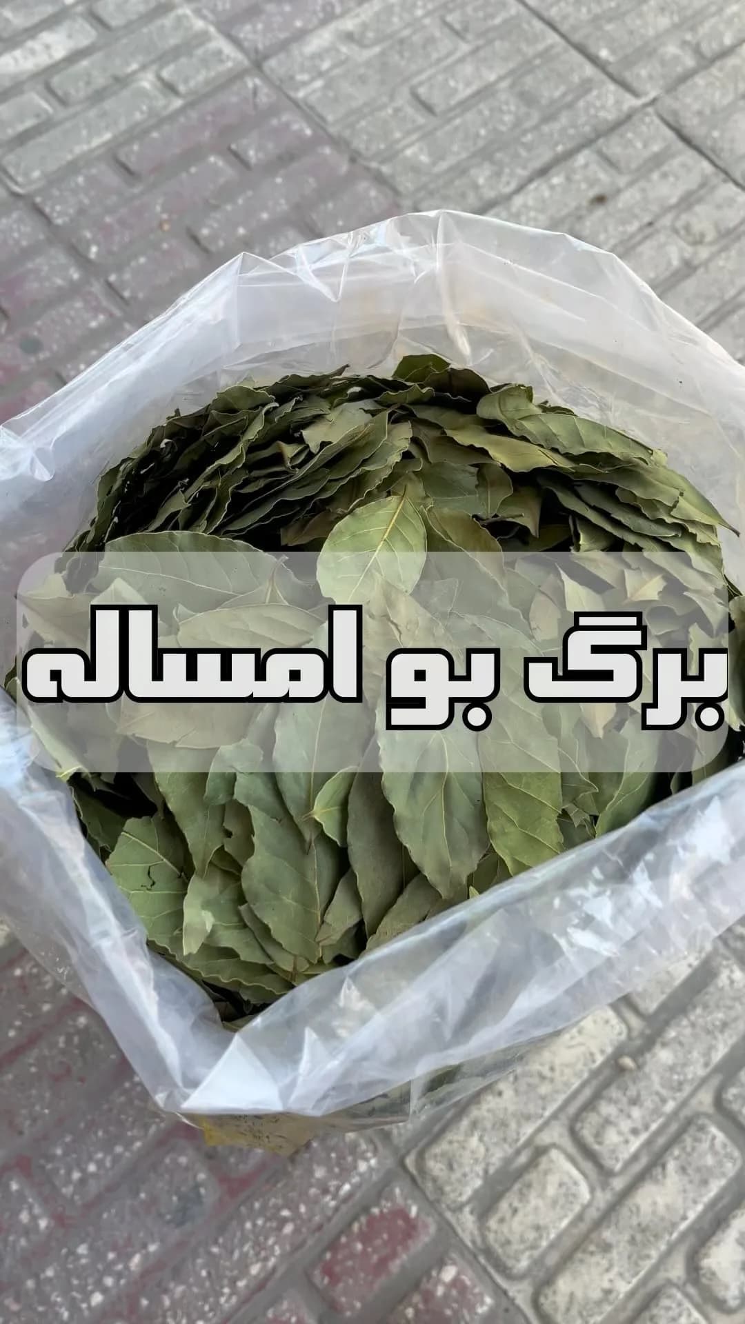 برگ بو امساله