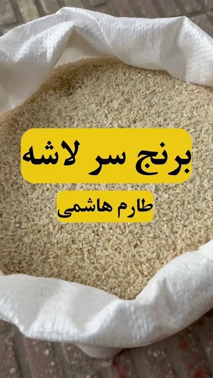 برنج سرلاشه طارم هاشمی، رنگ سفید و کرم، دانه بلند