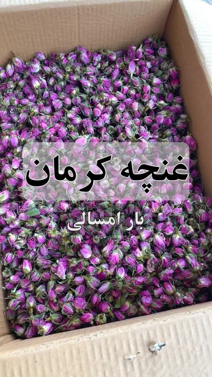 غنچه گل محمدی بافت کرمان