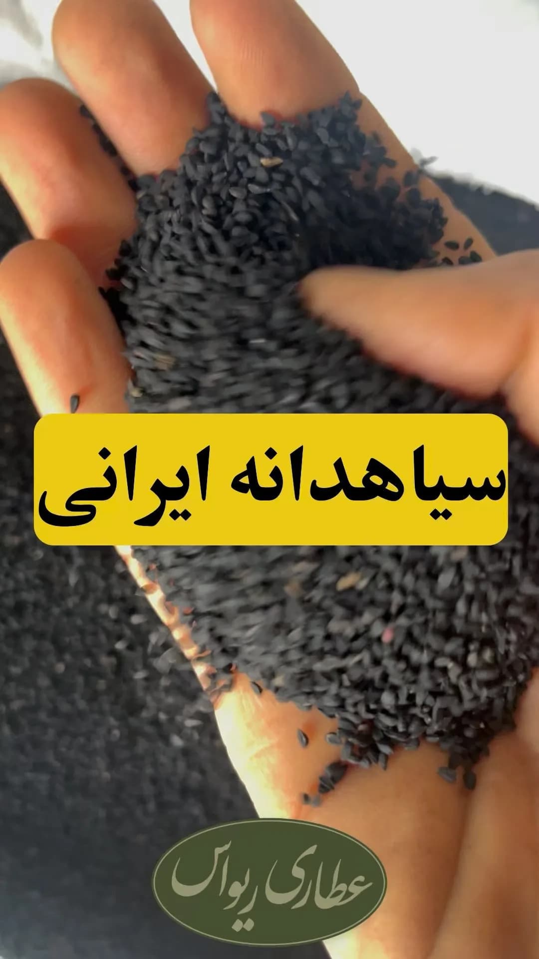 سیاهدانه سورت لیزری، رنگ مشکی