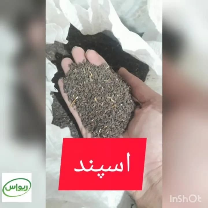 اسپند سورتشده، رنگ خاکستری و قهوهای، دانه ریز