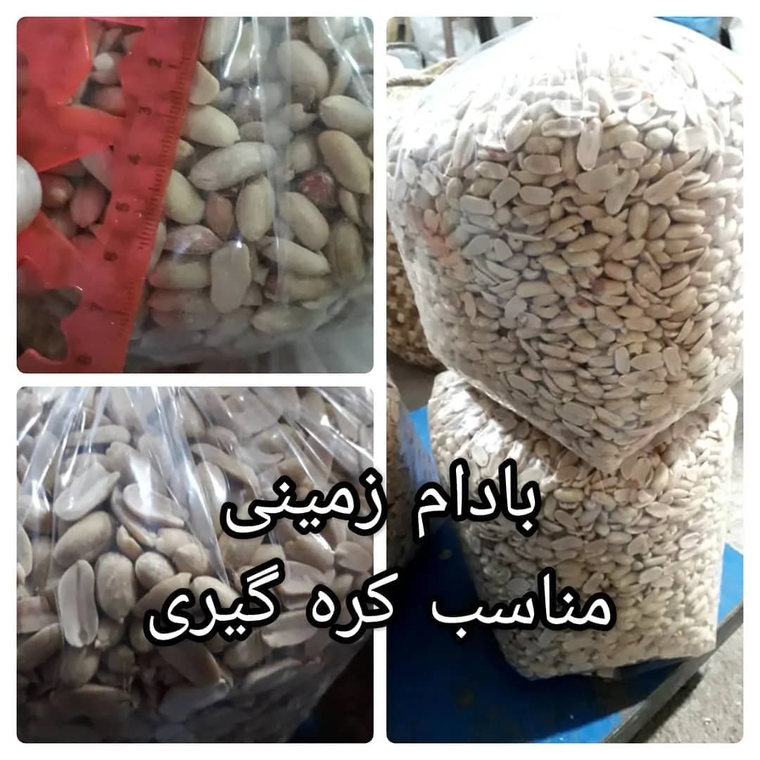 بادام زمینی مخصوص کرهگیری، رنگ کرم و قهوهای، پوستکنده