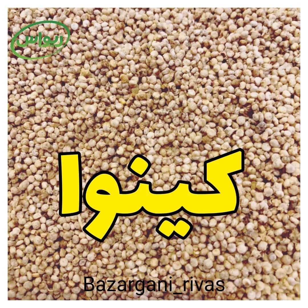 کینوا