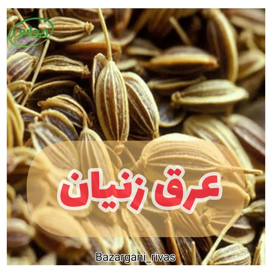 عرق زنیان