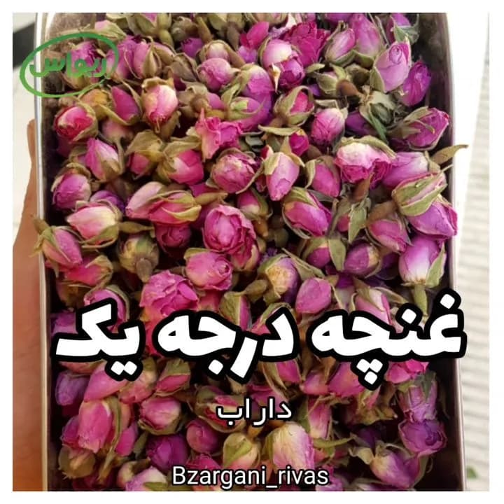 غنچه گل محمدی داراب درجه یک