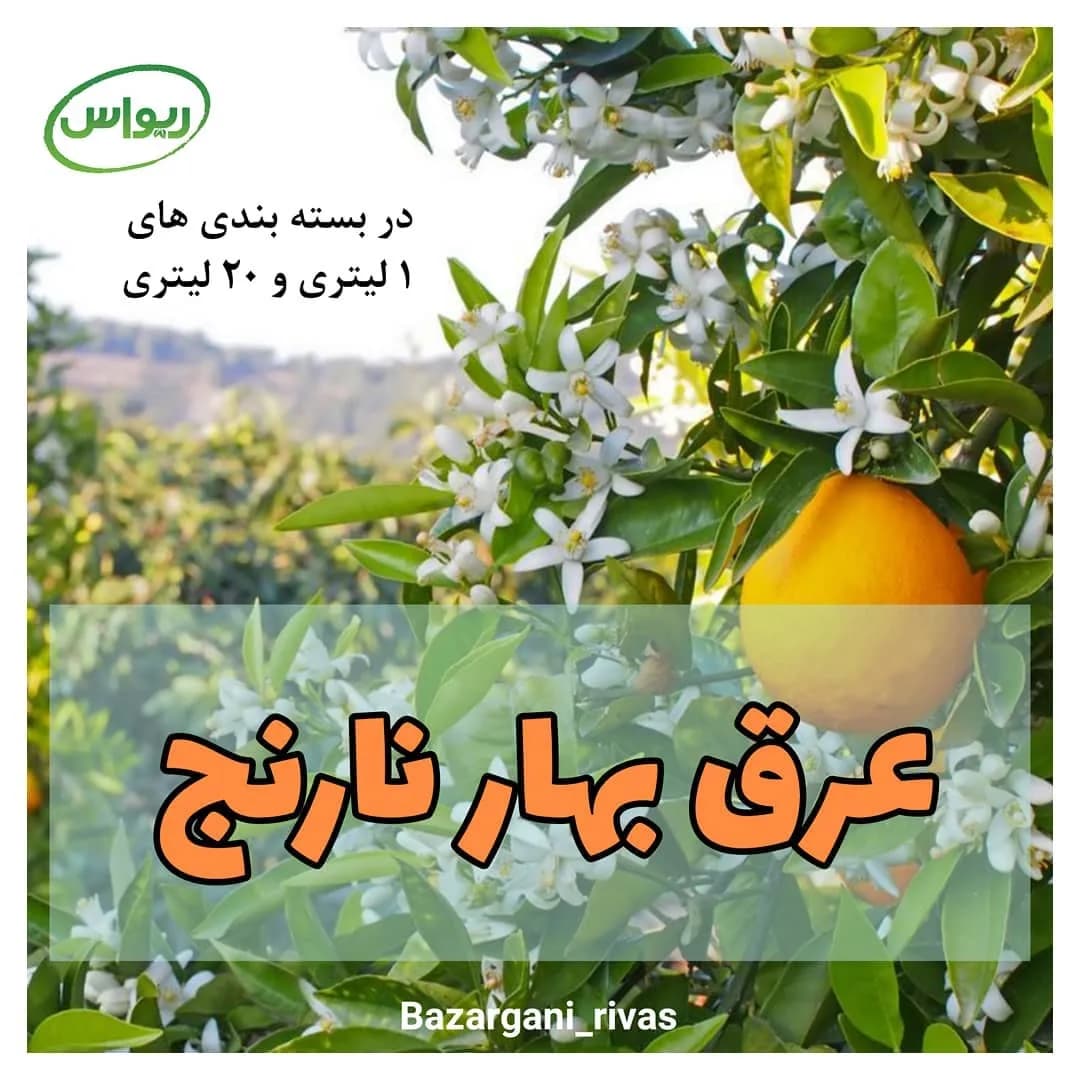 عرق بهار نارنج، رنگ شفاف، مایع