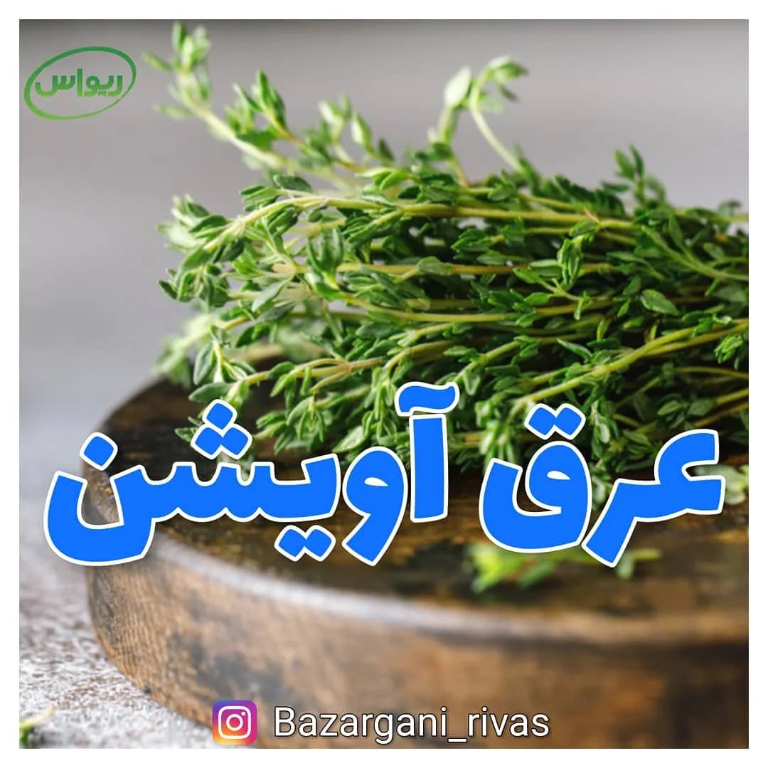 عرق آویشن، رنگ سبز، شاخه تازه