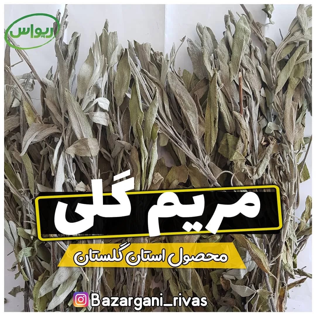 مریمگلی، رنگ سبز مایل به خاکستری، برگ خشک