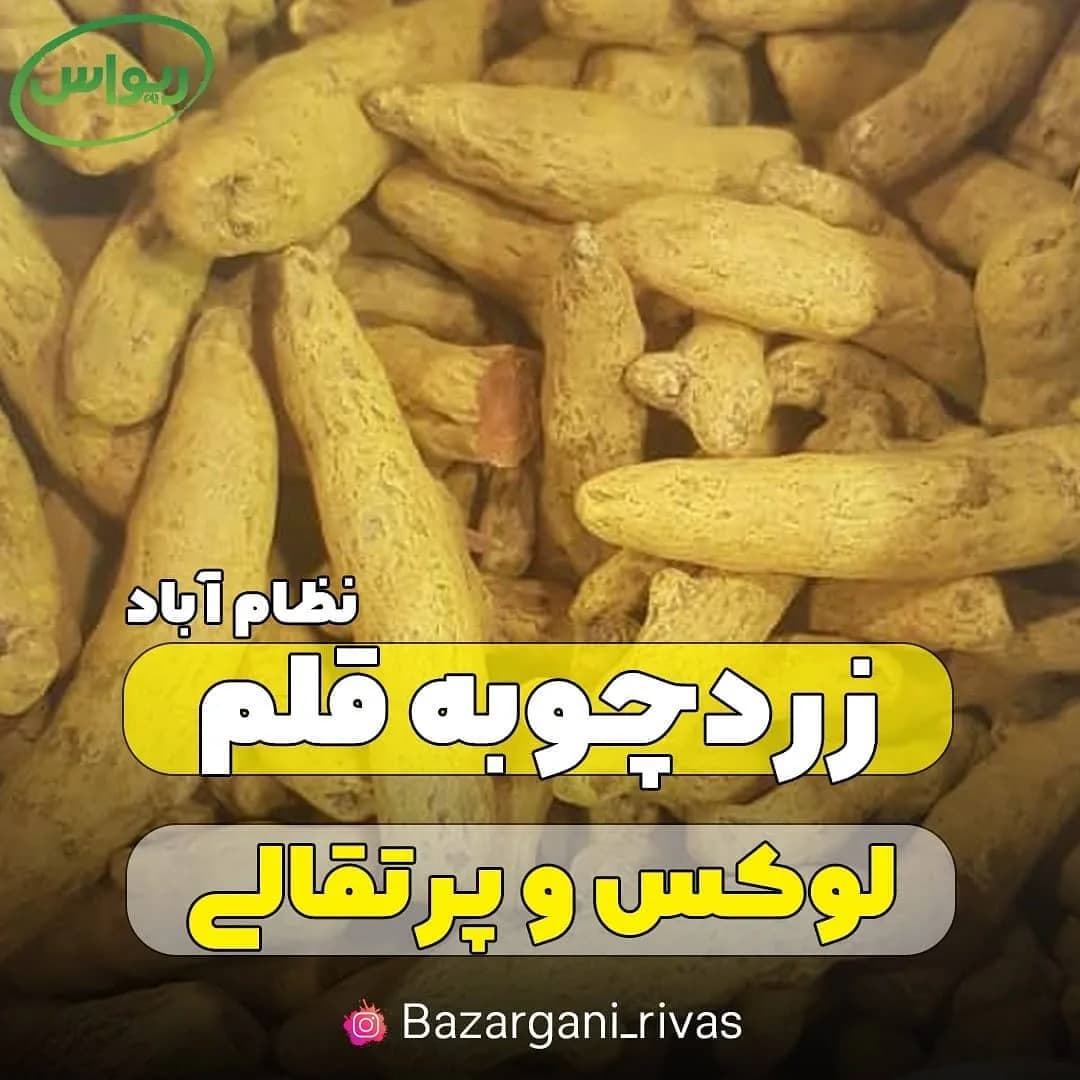 زردچوبه قلم هندی نظامآباد