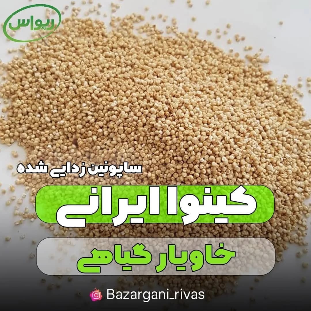 کینوا ایرانی ساپونینزداییشده، رنگ کرم و بژ، دانه ریز