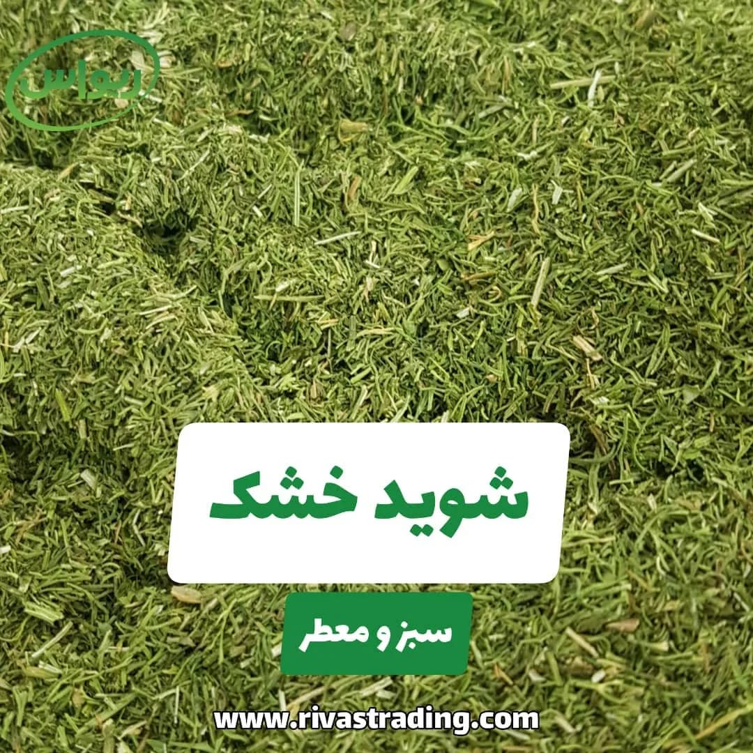 شوید خشک درجه یک