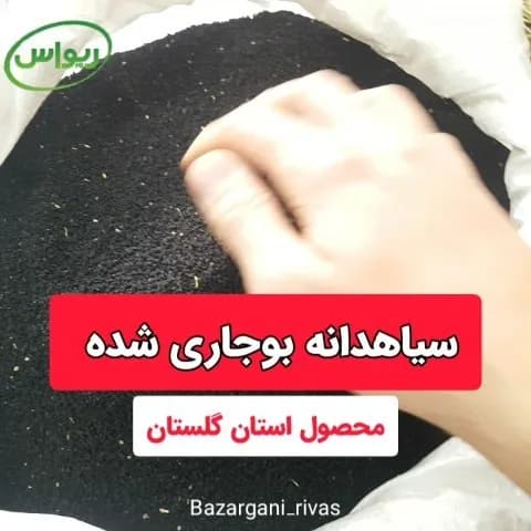 سیاهدانه بوجاریشده