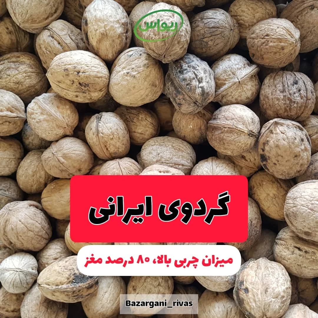 گردوی ایرانی دماوند