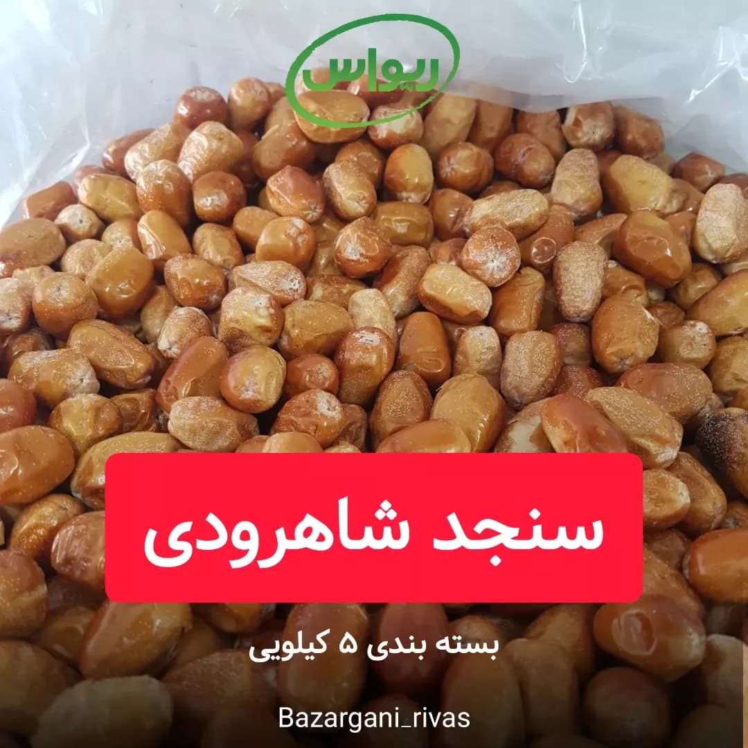 سنجد شاهرودی، رنگ قهوهای و نارنجی، میوه خشک بیضی شکل