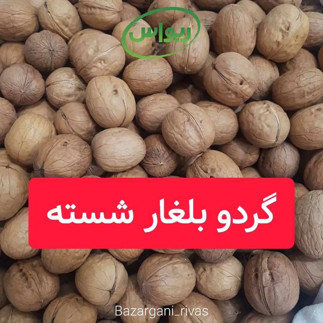 گردو بلغار شسته