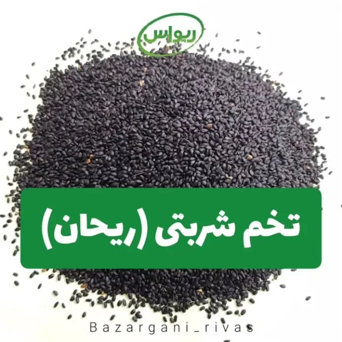 تخم شربتی ریحان