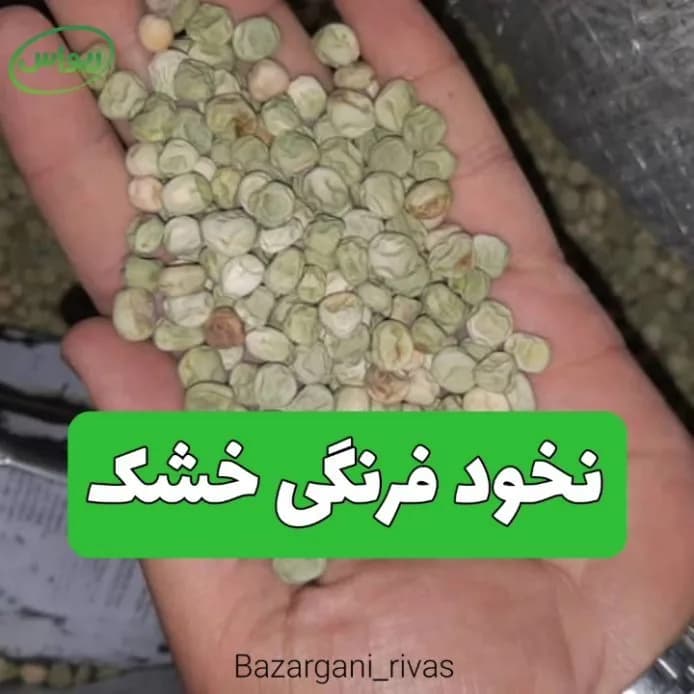 نخود فرنگی خشک، رنگ سبز کمرنگ و کرم، دانه خشک