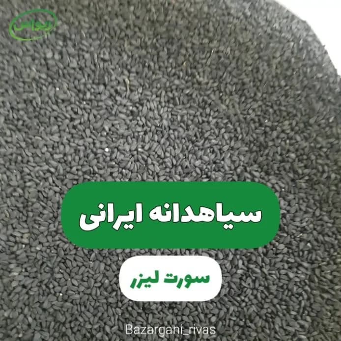 سیاهدانه ایرانی سورت لیزر