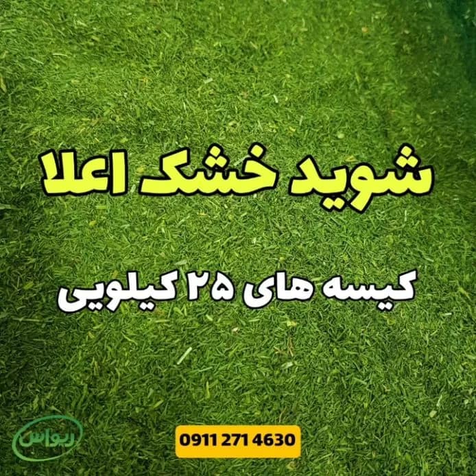 شوید خشک درجه یک، رنگ سبز، خشک خرد شده