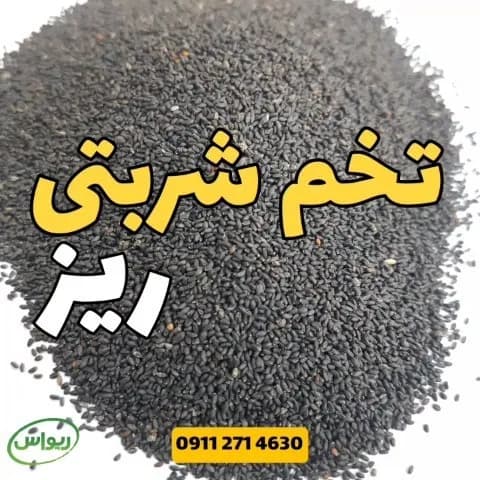 تخم شربتی ریز، رنگ سیاه، دانه ریز