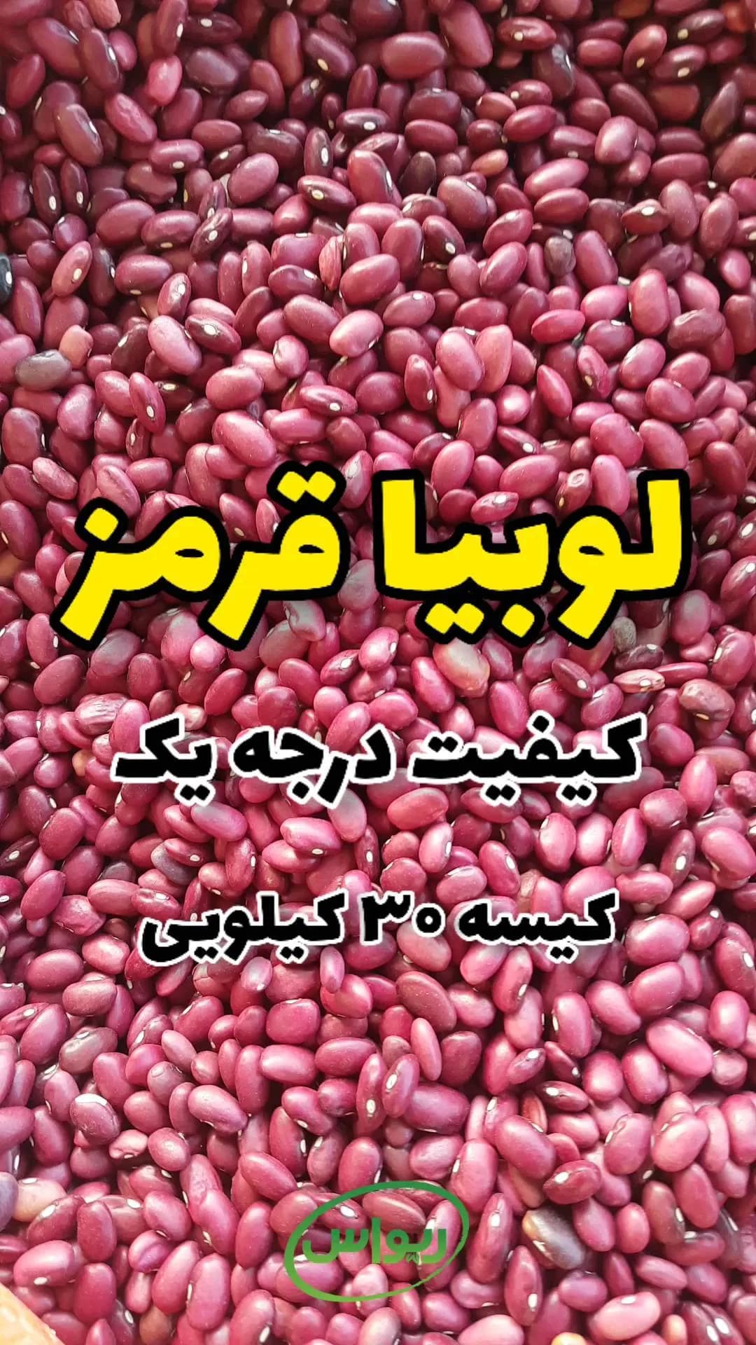 لوبیا قرمز، رنگ زرشکی، دانه بیضی