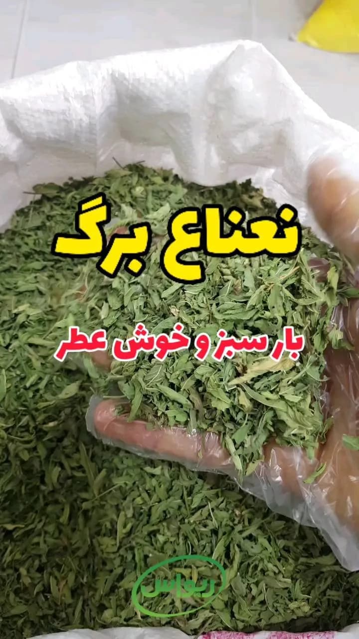 نعناع برگ، رنگ سبز، برگ خشک