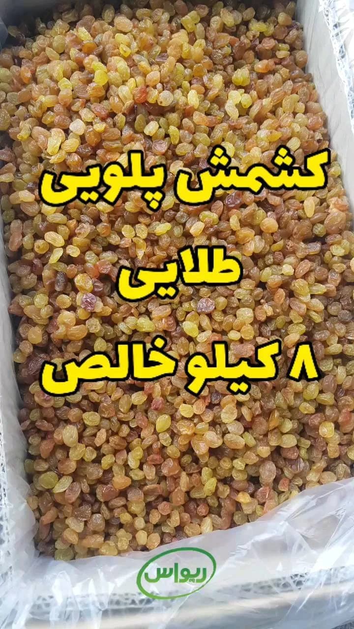 کشمش پلویی طلایی کارتن ۸ کیلویی، رنگ زرد، دانه خشک