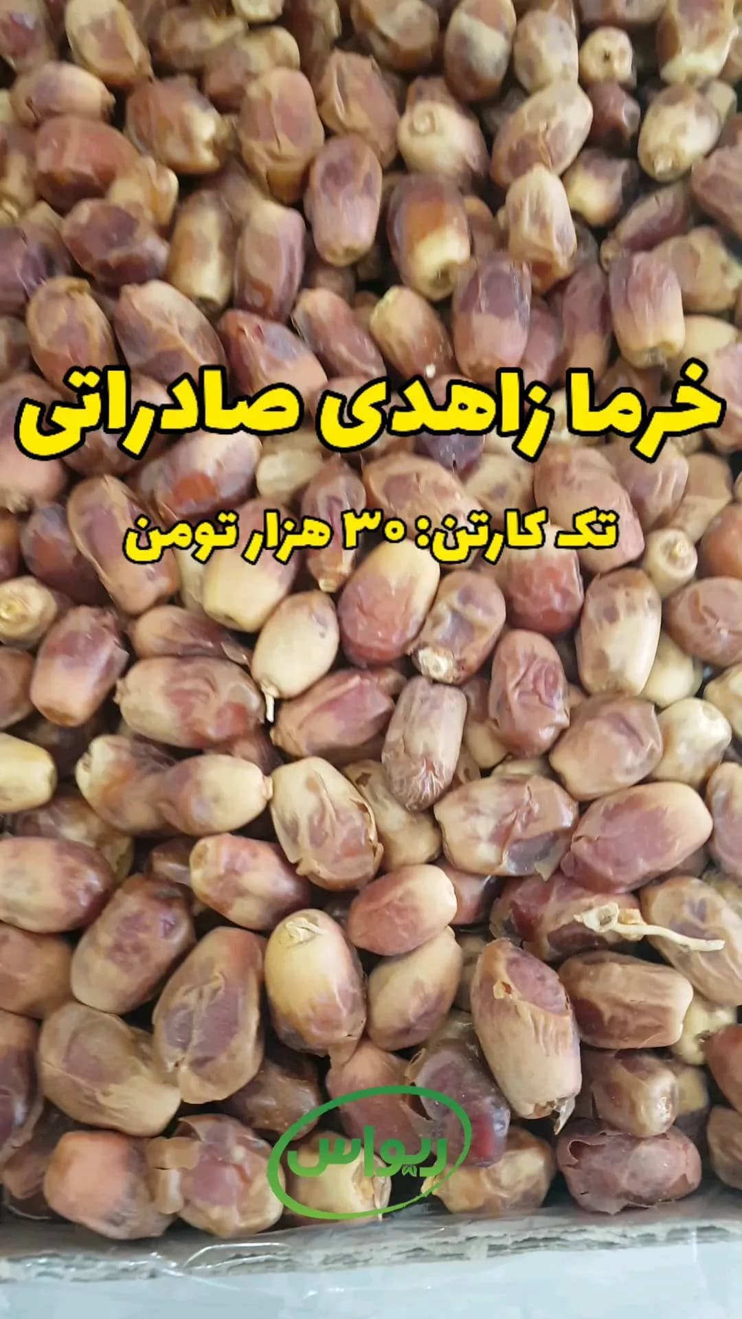 خرما زاهدی صادراتی
