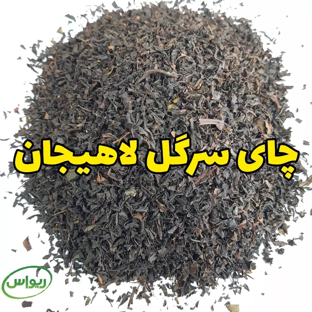 چای سرگل لاهیجان