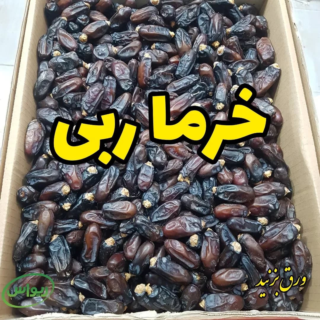 خرما ربی لوکس