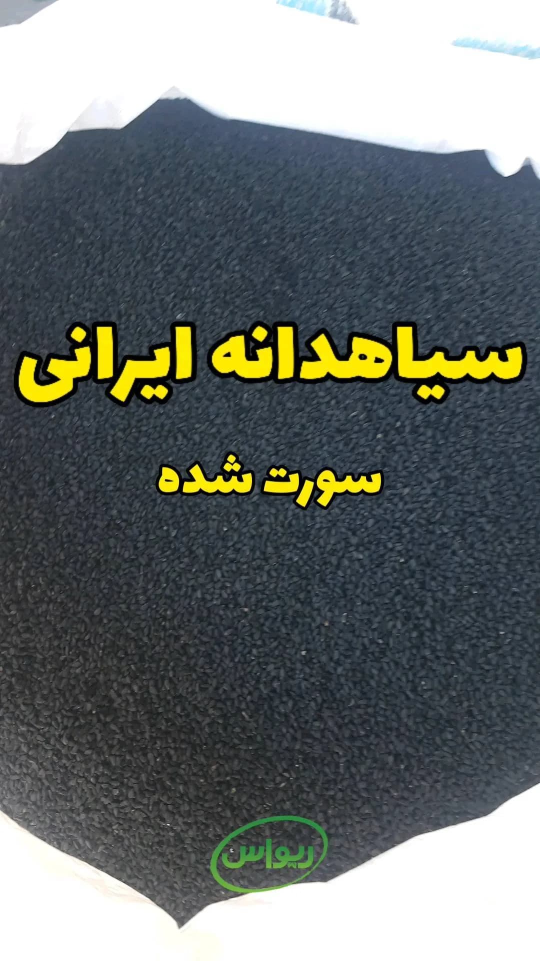 سیاهدانه ایرانی سورتشده، رنگ مشکی