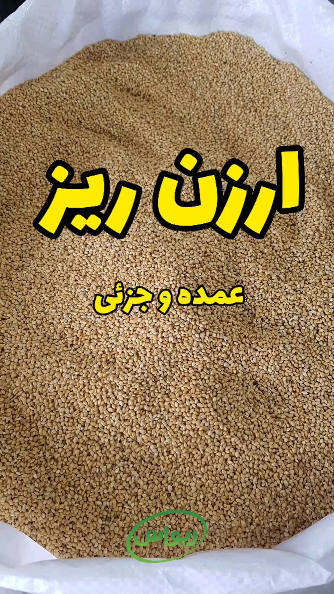 ارزن ریز، رنگ کرم و زرد، دانه ریز