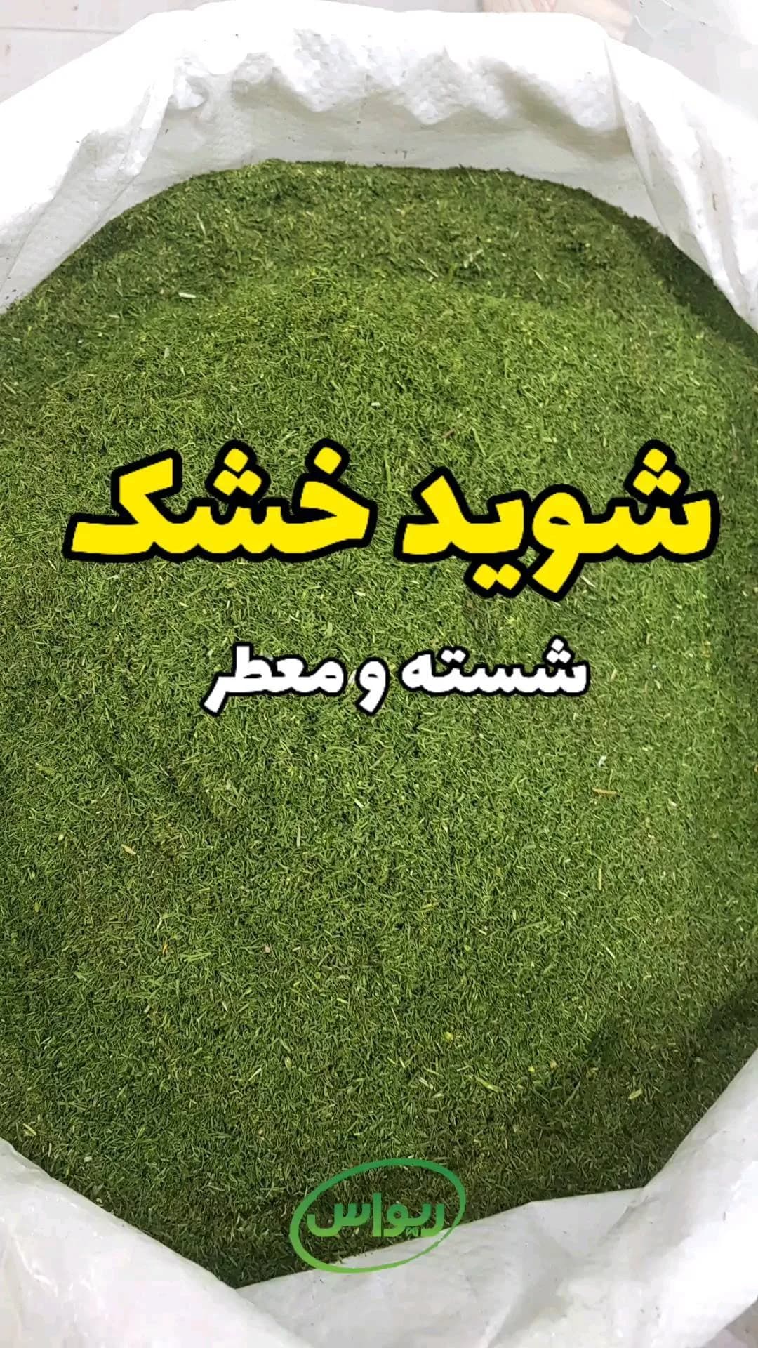 شوید خشک شسته و معطر، رنگ سبز، گیاه خشک