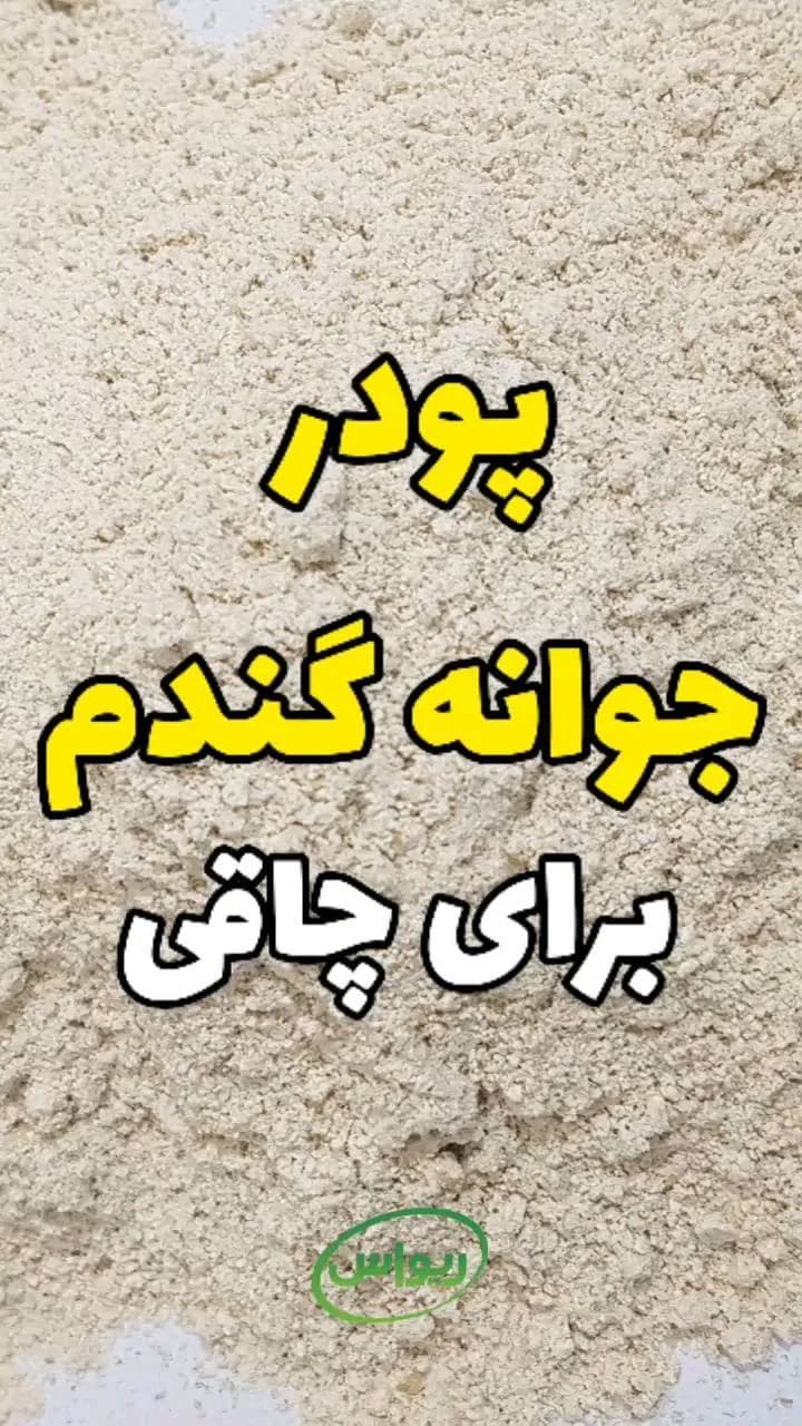 پودر جوانه گندم خالص