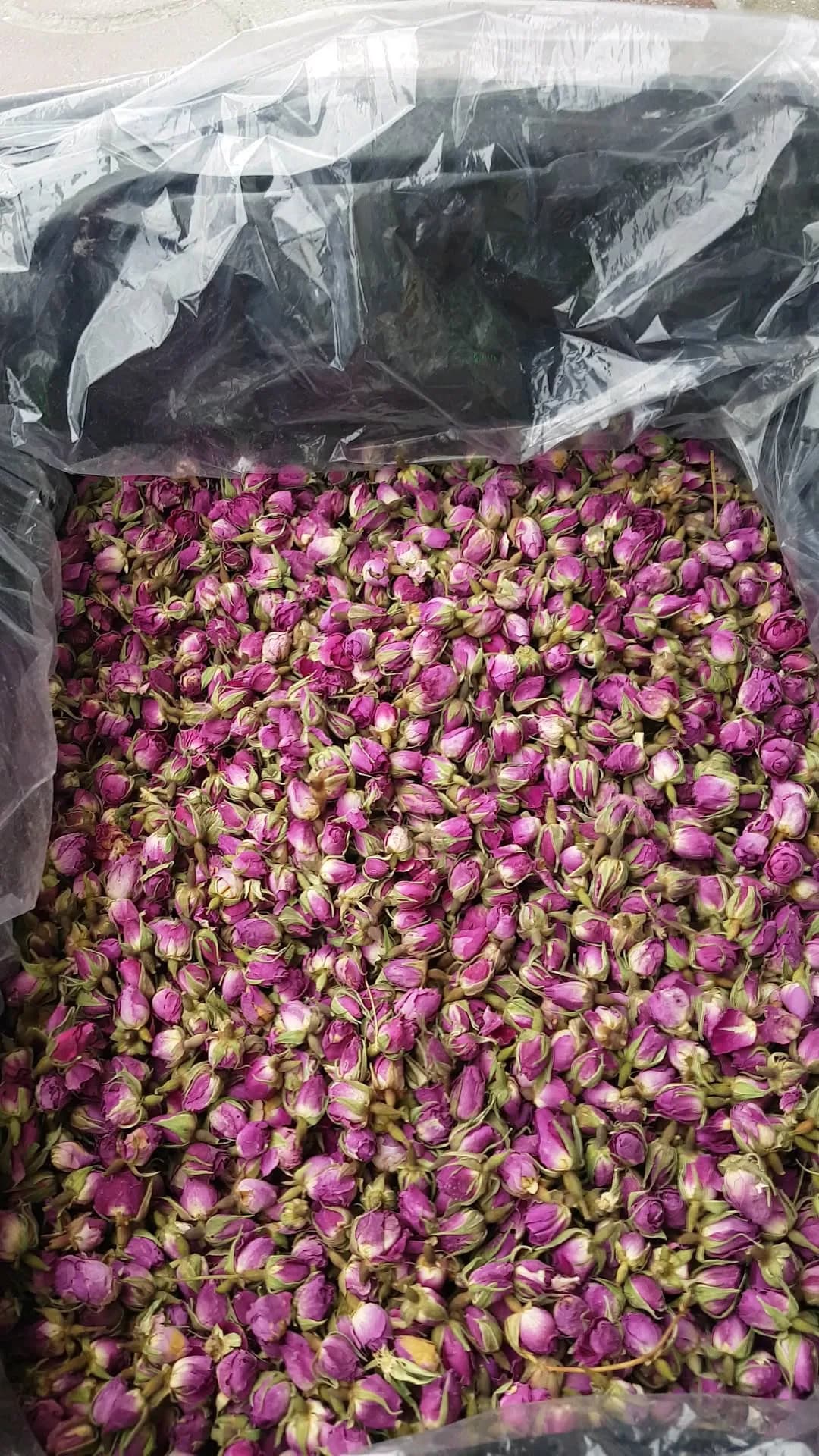 غنچه گل محمدی لالهزار کارتن ۷ کیلویی، رنگ صورتی، ارغوانی و سبز، گلبرگ خشک