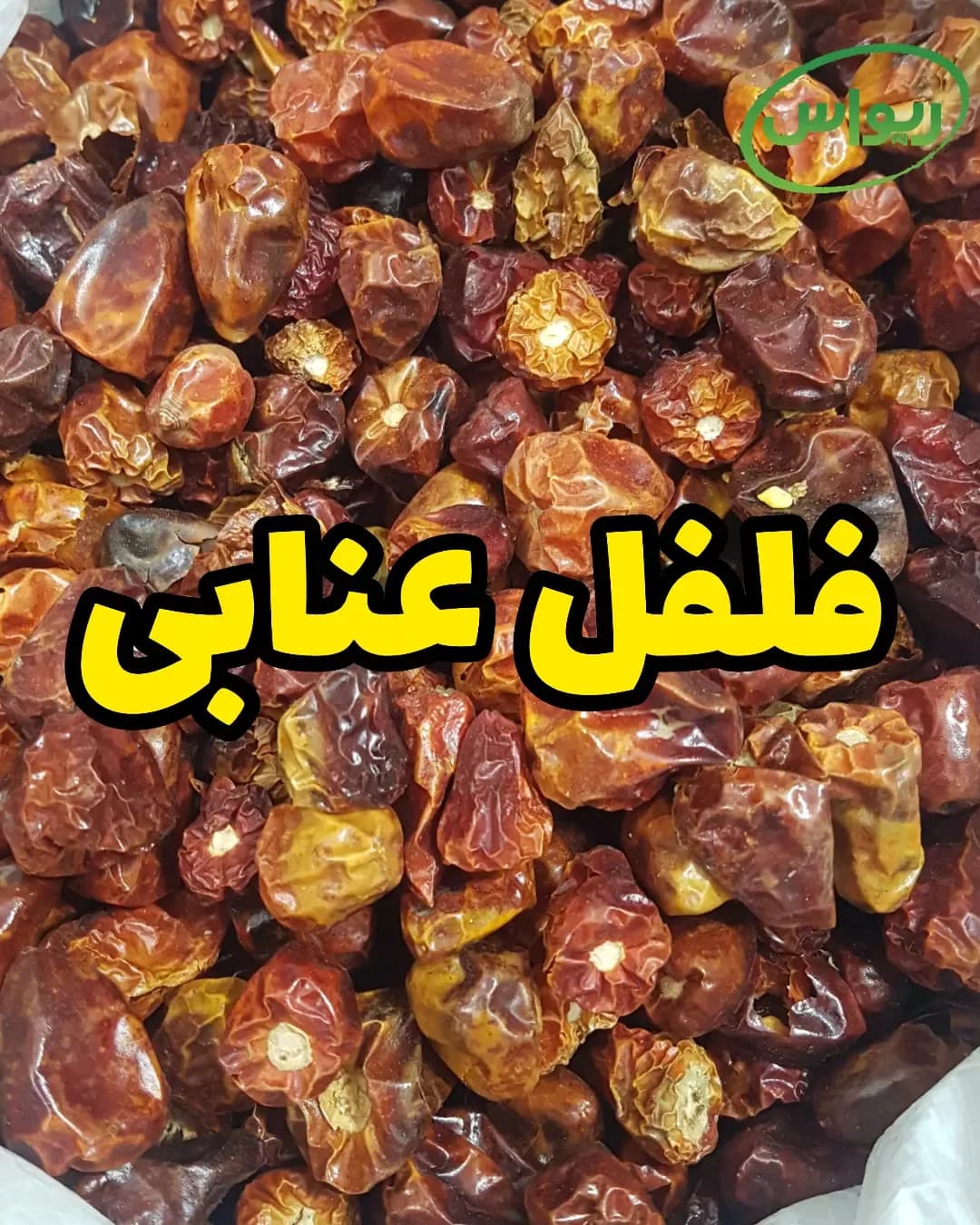 فلفل عنابی بدون دم