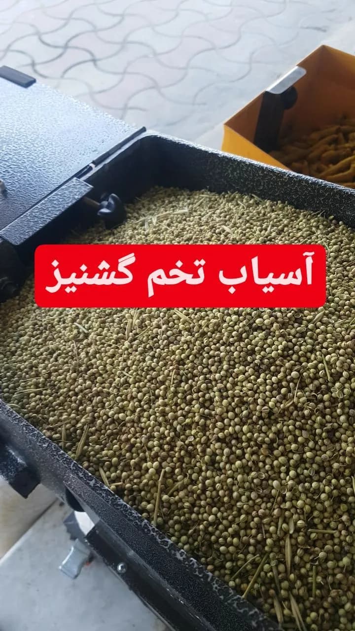آسیاب تخم گشنیز خالص، رنگ سبز زیتونی و قهوهای روشن، دانه ریز گرد