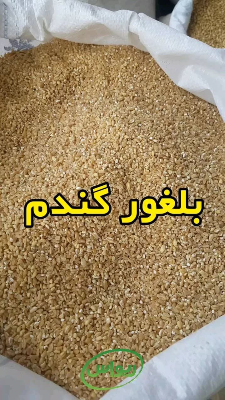 بلغور گندم مناسب حلیم، رنگ کرم و قهوه‌ای روشن، دانه ریز