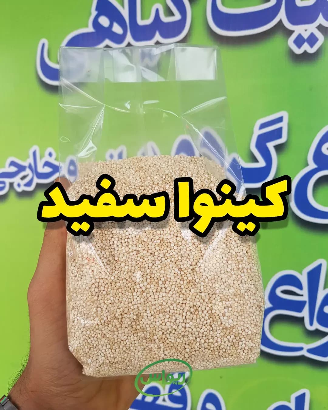 کینوا سفید خارجی، رنگ کرم، دانه
