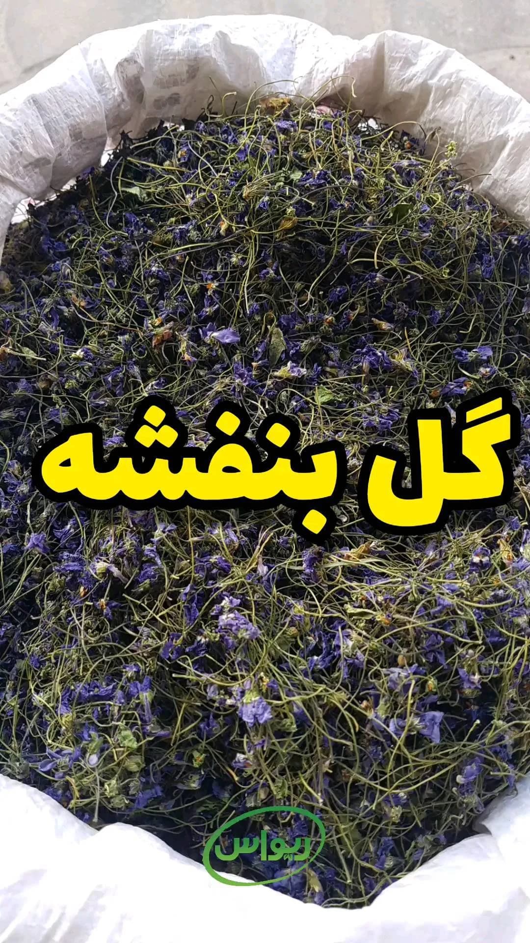 گل بنفشه امساله، رنگ سبز، گل خشک شده
